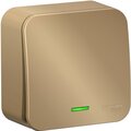 blnva106114-schneider-electric