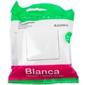 blnvs006101-(4)