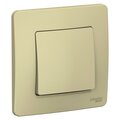 blnvs010107-schneider-electric