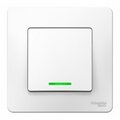 blnvs010111-schneider-electric5
