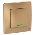 blnvs010114-schneider-electric