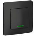 blnvs010116-schneider-electric