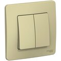 blnvs010507-schneider-electric