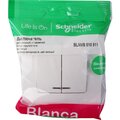 blnvs010511-schneider-4