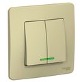 blnvs010517-schneider-electric