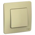 blnvs010607-schneider-electric