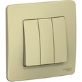 blnvs100507-schneider-electric1
