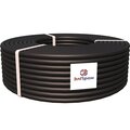 bp-00010301-elprom8