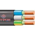 bp-00010647-elprom