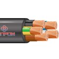 bp-00012443-elprom2