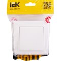 br-v10-0-10-k01-f-iek-4