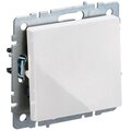 br-v13-0-10-k01-iek