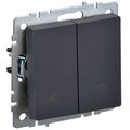 br-v15-0-10-k53-iek
