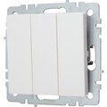 br-v30-0-10-k36-iek