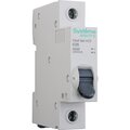 c9f34125-schneider-3