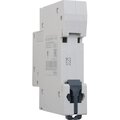 c9f34125-schneider-5