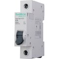 c9f34125-schneider