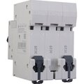 c9f34325-schneider-5