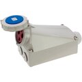 ca1381-inpin