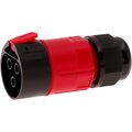 cawp33-f-inpin