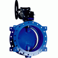 cflc23f03000-dendor