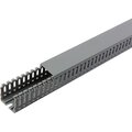 ckm50-040-040-1-k03-iek