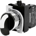 cm100s20-emas