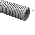 ctg20-16-k41-100-g-generica5