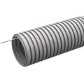 ctg20-20-k41-100i-iek
