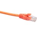 dr-181817-datarex