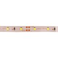 etm141-335-neon-night