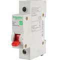 ez9s16163-schneider