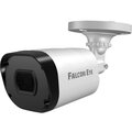 fe-ipc-dp2e-30p-falcon-eye