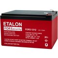 fors-1212-etalon-battery6