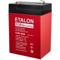 fors-6045-etalon-battery