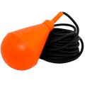 fs-1-20-cnp