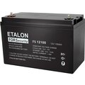 fs-12100-etalon-battery