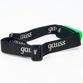 gf408-gauss-3