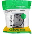 gsl000148-(4)