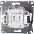 gsl000211-schneider-(2)