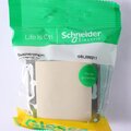 gsl000211-schneider-(3)