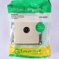 gsl000291-schneider-(5)