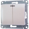 gsl000653-schneider-2