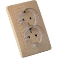 hegel-rs16-382-05-hegel