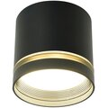 hl461-51938-feron-2