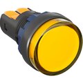 m22l-f220ypp-dkc