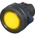 m22p-fmlyp-dkc