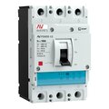 mccb-13-100-2.0-av_1