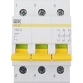 mnv10-3-100-iek-2
