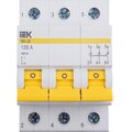 mnv10-3-125-iek-2